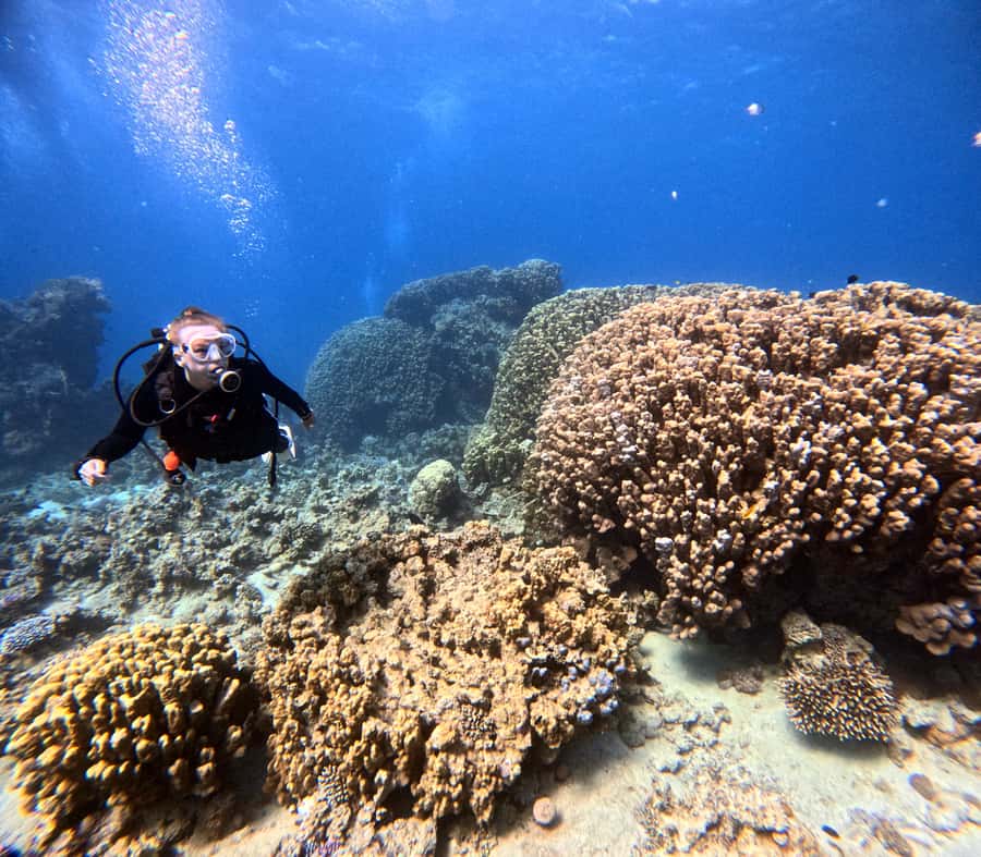 Aqaba: Private Red Sea Diving for Beginner or Experienced - Photos and Videos That Actually Feel Worth It