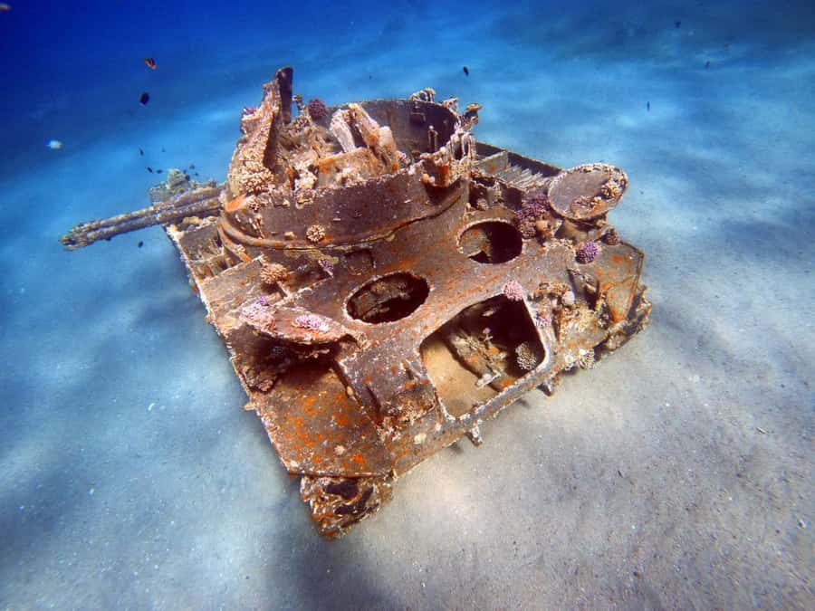 Aqaba: Private Red Sea Diving for Beginner or Experienced - Private Tour = More Focus, Less Waiting, Better Nerves