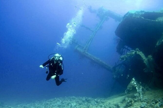 Aqaba Private Scuba Diving Activity with Pick Up - What you’ll actually see: corals, reef colors, and the military-reef blend