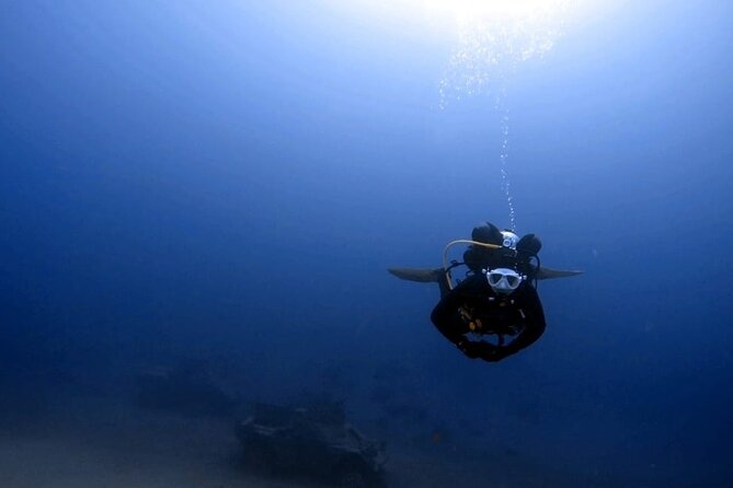Aqaba Private Scuba Diving Activity with Pick Up - Who this suits best, especially if you are anxious or new