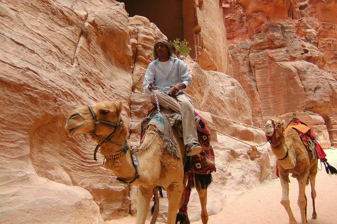 Aqaba Shore Excursion: Private Petra Sightseeing Tour with Lunch - The drive from Aqaba: comfort first, then the scenery