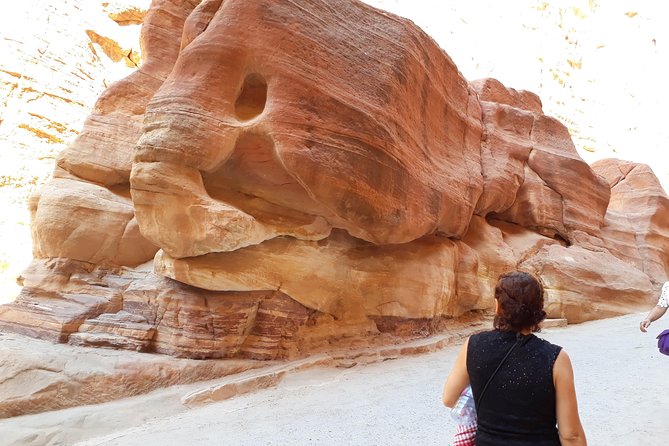 Best of Jordan in 7 Days (customizable) - Petra in one day: why 13 hours changes everything