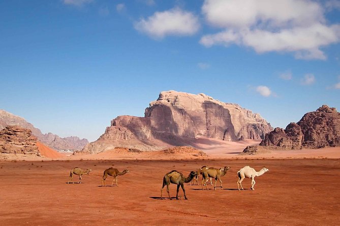 Best of Jordan Tour Amman Petra and Dead Sea with Camping at Wadi Rum - Day 5: Dead Sea at the lowest point, float and mud on your schedule