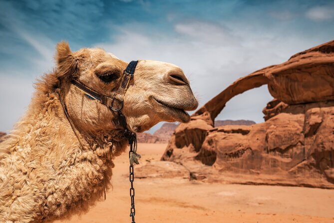 Best of Wadi Rum | Full day Jeep tour + Sleep under the stars | Pack all-in - Red Sand Dunes and Khazali Canyon, the Best Shape of the Day