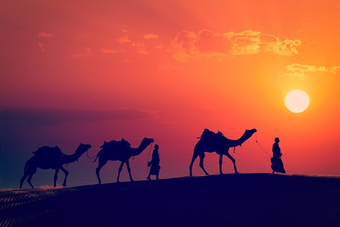 Best of Wadi Rum | Full day Jeep tour + Sleep under the stars | Pack all-in - Price and Value at About $115, Plus the Entrance Fee Catch