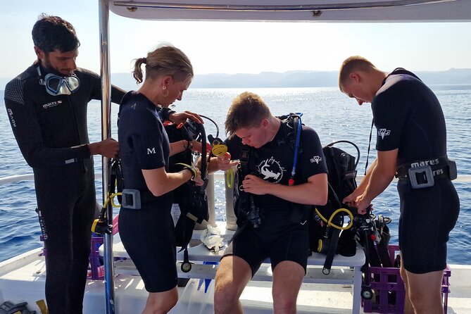 Boat Dive 2 Guided Dives with Lunch Included wreck dive&reef dive - Key things to know before you go