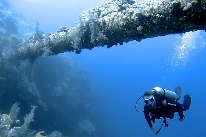Boat Dive 2 Guided Dives with Lunch Included wreck dive&reef dive - What is included for $170, and why it’s good value