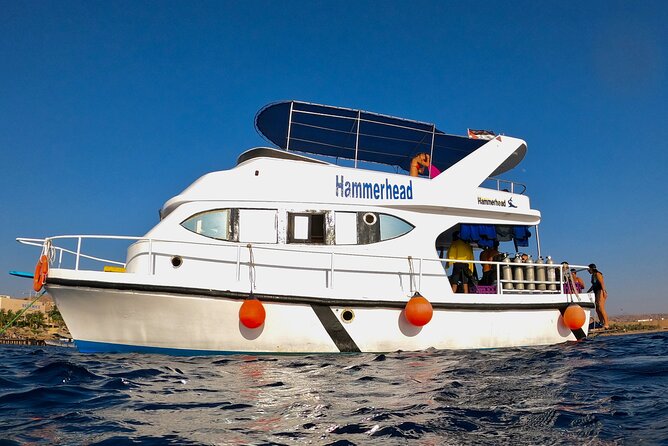 Boat Dive 2 Guided Dives with Lunch Included wreck dive&reef dive - 10:00am to drop-off: how the 6 hours usually feels