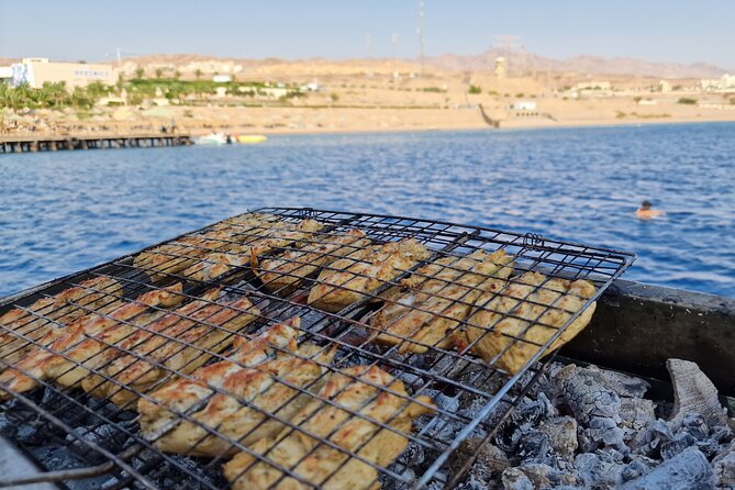 Boat Dive and Snorkeling Experience in Aqaba - Key highlights at a glance
