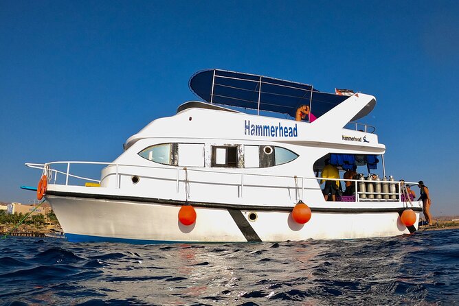 Boat Dive and Snorkeling Experience in Aqaba - Price and Value: What $123.19 Gets You in 5 Hours