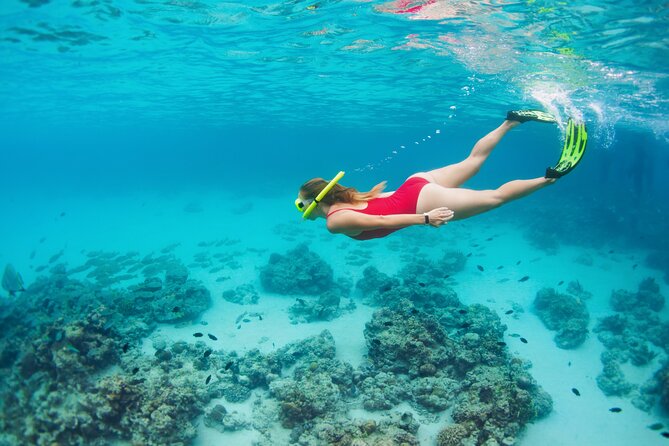 Boat Dive and Snorkeling Experience in Aqaba - Lunch Aboard: Open Buffet Grilled Food and Drinks