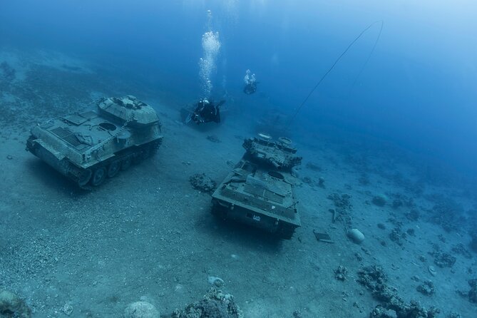 Boat Dive and Snorkeling Experience in Aqaba - Equipment Included, So You Can Travel Lighter