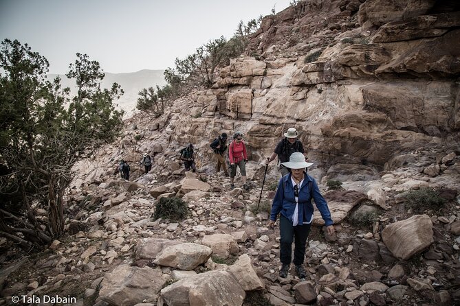 Dana to Petra Trek + Wadi Rum & the Dead Sea - 9 Days - Amman first, then back out into the hills