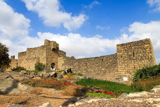 Day Tour Desert Castles & Azraq Wetland Reserve - Transportation quality: why some days feel great and others feel like driver-only logistics