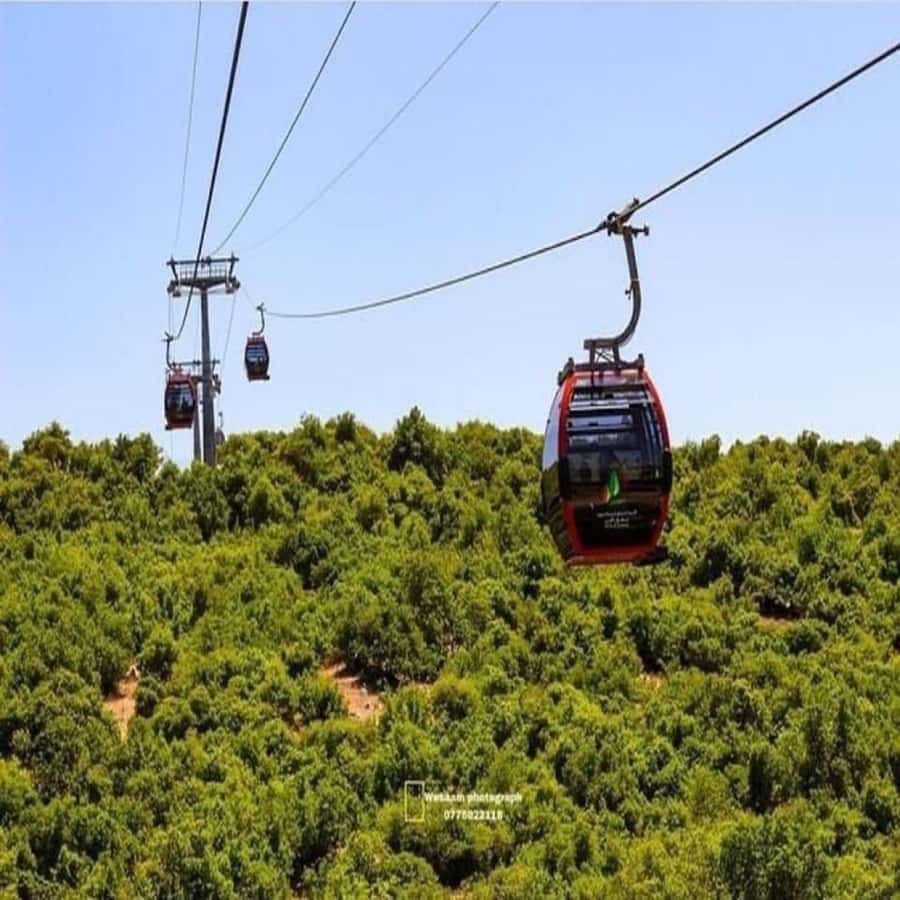 Day Tour Jerash - Ajloun and Um Qais From Amman - Who this tour suits best (and who might want a different plan)