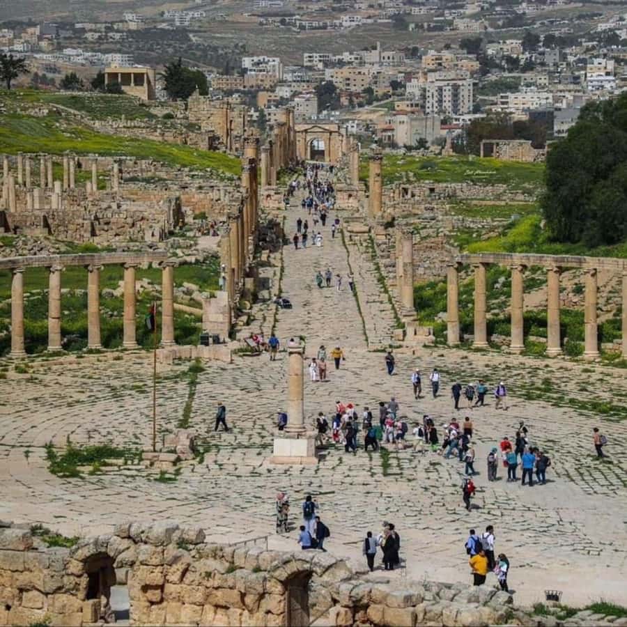 Day Tour Jerash - Ajloun and Um Qais From Amman - Jerash: the Roman city you can walk at your own speed