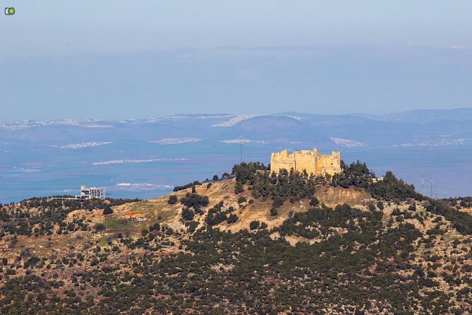 Day Tour Jerash, Ajloun and Umm Qais From Amman - Jerash Ruins: Walking Through Roman and Greek Power