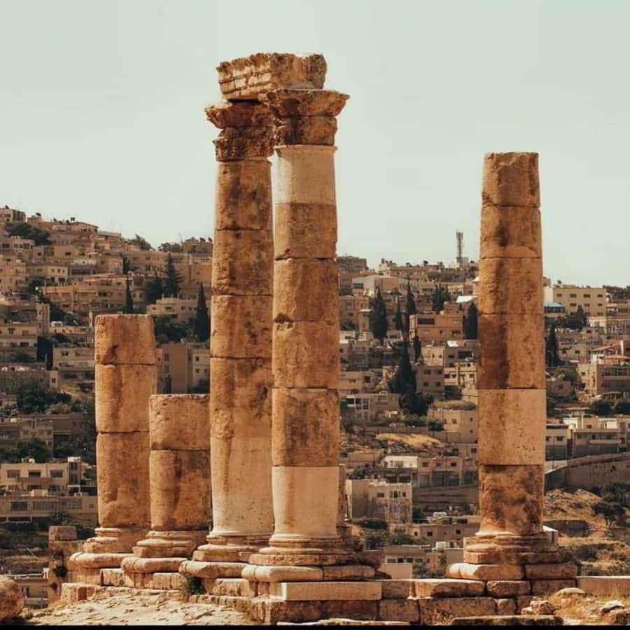Day Tour Jerash and Amman City Tour From Amman - Jerash day: Temple of Artemis and the Roman streets you can walk