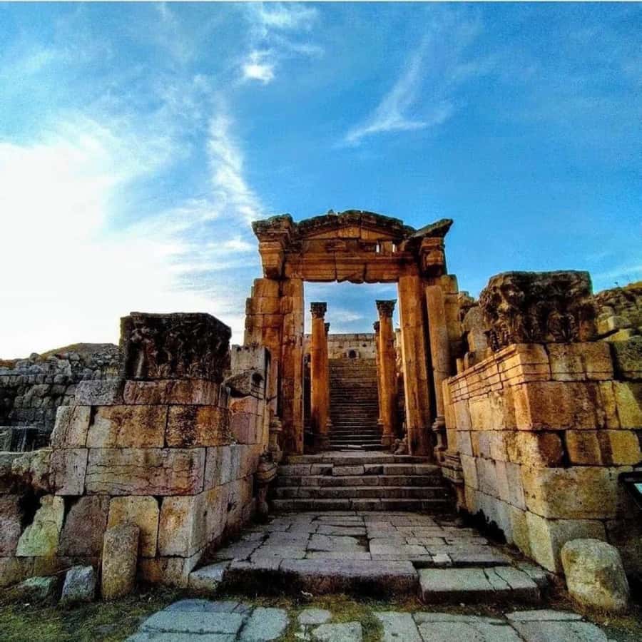 Day Tour Jerash and Amman City Tour From Amman - Value for $68: what you get, what you pay separately