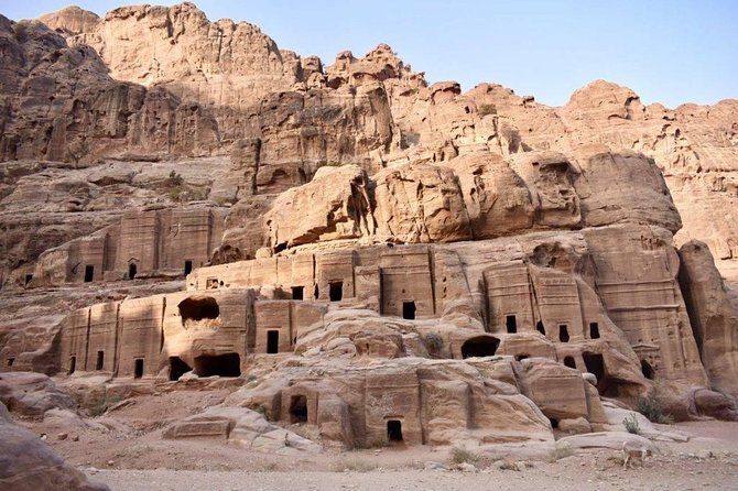 Day Tour to Petra from Amman - Free time in Petra: how much is realistic in one day