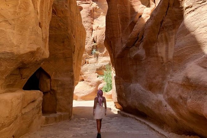 Day Tour to Petra from Dead Sea with lunch - What Petra entrance fees and the private vehicle inclusion really mean