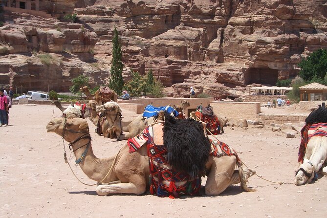 Day Tour to Petra from Dead Sea with lunch - Inside Petra: meeting your English guide and walking the Siq