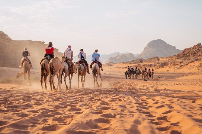 Day Trip to Petra, Wadi Rum, and Shobak Castle - Petra visitor center setup and the value of a driver who handles tickets