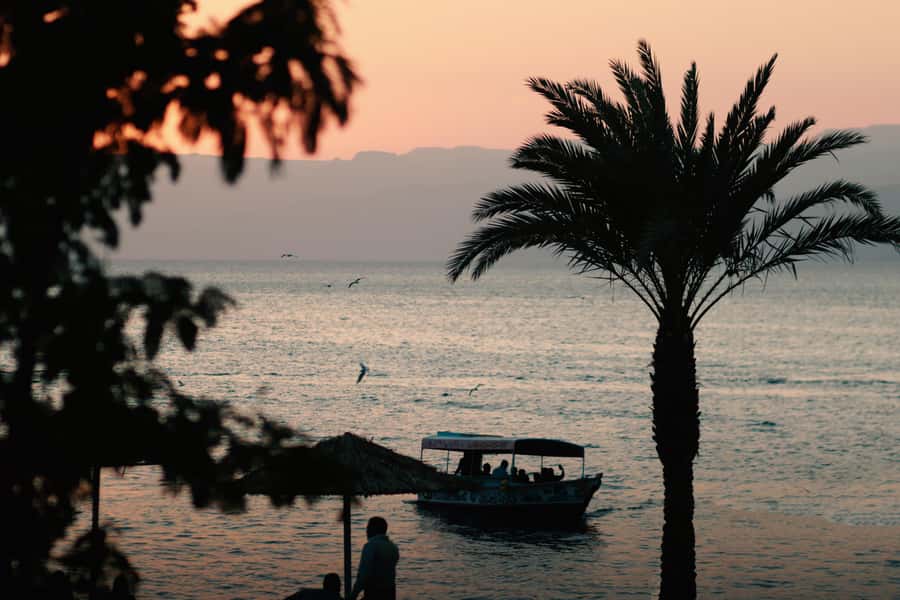 Discover Aqaba in Style: A 3-h City Tour by Car with meal - Mosque visit and respectful sightseeing