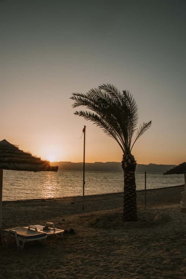 Discover Aqaba in Style: A 3-h City Tour by Car with meal - Value check: is $36 per person a good deal?