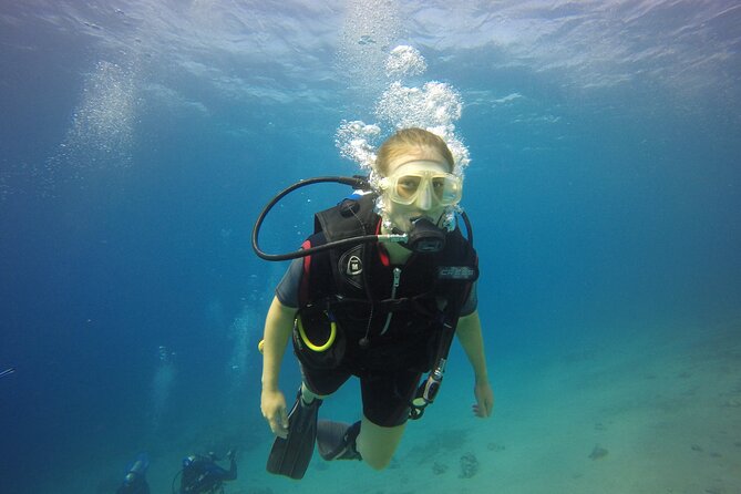 Discover the Depths: Aqaba's Ultimate private Dive Experience - Quick highlights