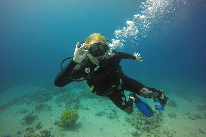 Discover the Depths: Aqaba's Ultimate private Dive Experience - Price and value: what you get for $55 per person