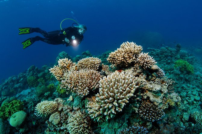 DSD "Discover Scuba Diving" (Min Age 10 Years) - Gear setup and the 1.5-hour shallow-water skills block