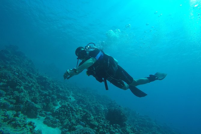 DSD "Discover Scuba Diving" (Min Age 10 Years) - Pickup, mobile ticket, and how to make the day smooth