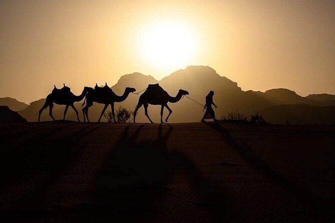 Elite Transfers : Queen Alia Airport to Any Destination in Jordan - Key highlights to know before you book