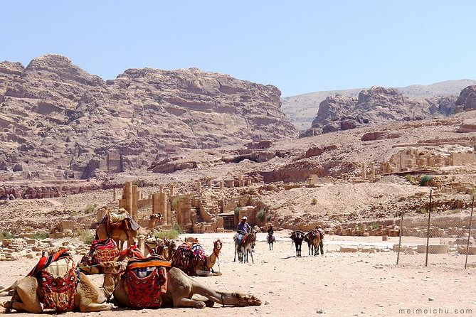 Experience Petra & Wadi Rum in One Day From Amman - Who Should Book This Petra and Wadi Rum One-Day Tour