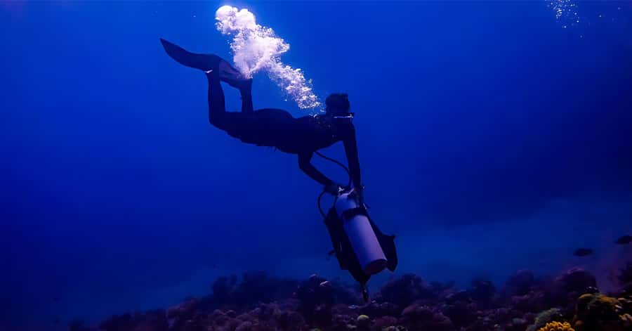 Explore Aqaba's Depths: Scuba Diving Tour, with Hotel Pickup - Key points before you gear up