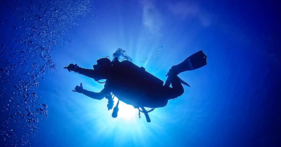 Explore Aqaba's Depths: Scuba Diving Tour, with Hotel Pickup - South Beach schedule: how the 2 hours really move