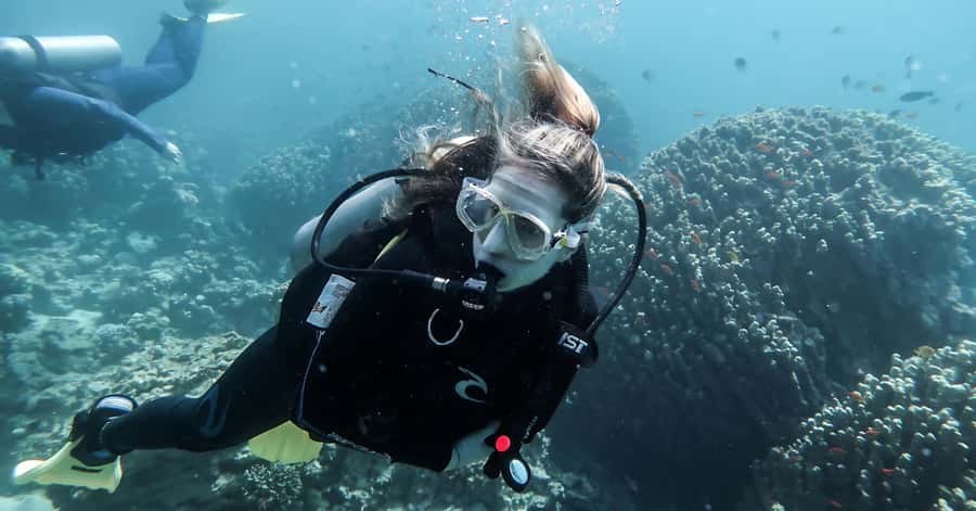 Explore Aqaba's Depths: Scuba Diving Tour, with Hotel Pickup - Reef time with clear visibility, plus strict rules for marine life