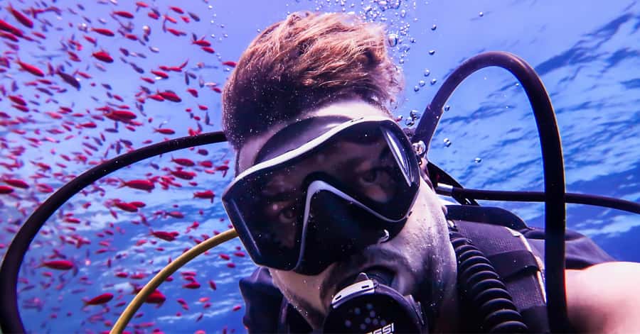 Explore Aqaba's Depths: Scuba Diving Tour, with Hotel Pickup - Wreck areas near Aqaba: Tank and Seven Sisters Wreck
