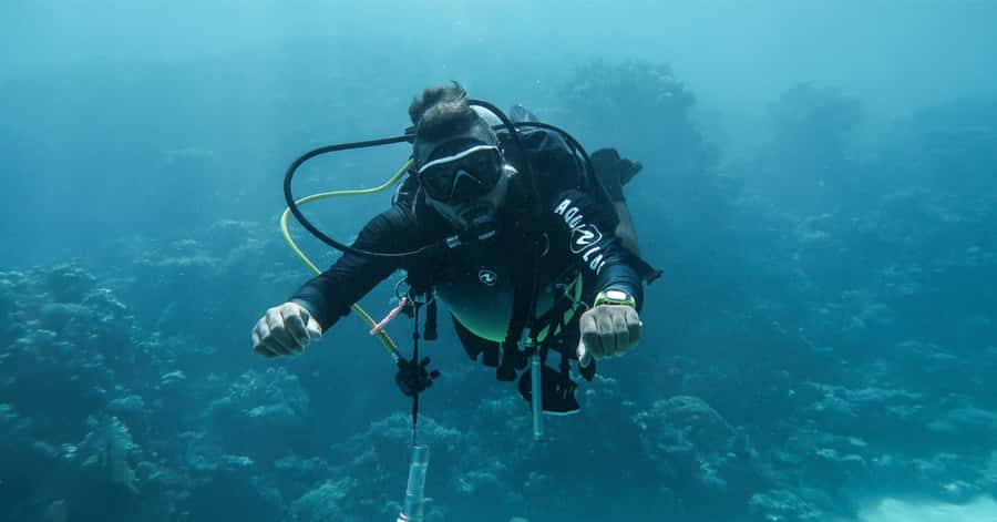 Explore Aqaba's Depths: Scuba Diving Tour, with Hotel Pickup - Zee and Amir: the kind of coaching that keeps nerves down