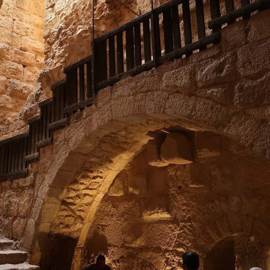 Explore Northern Jordan:Amman to Jerash, Ajloun,and Umm Qais - Car Ride Comfort, Wi-Fi, and the Small Group Advantage