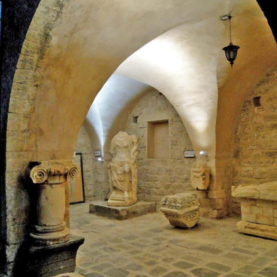 Explore Northern Jordan:Amman to Jerash, Ajloun,and Umm Qais - What’s Not Included: Entrance Tickets and Lunch Money