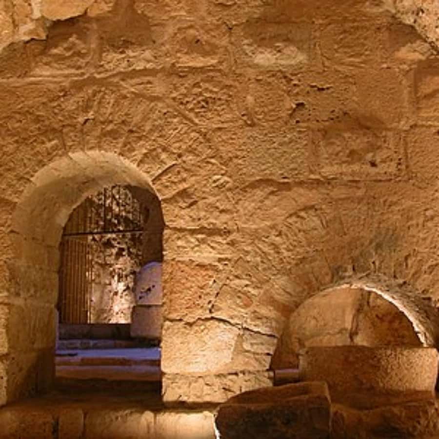 Explore Northern Jordan:Amman to Jerash, Ajloun,and Umm Qais - Who This Tour Fits Best (and Who Should Skip It)