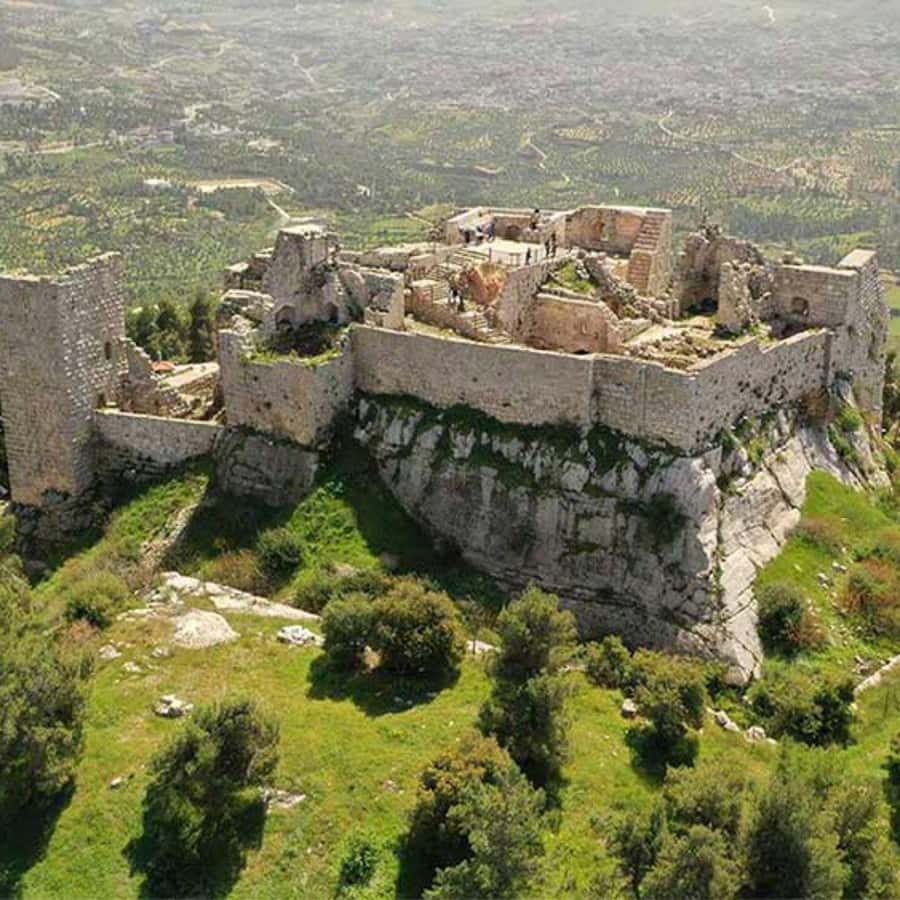 Explore Northern Jordan:Amman to Jerash, Ajloun,and Umm Qais - Is $102 Good Value for Jerash, Ajloun, and Umm Qais?