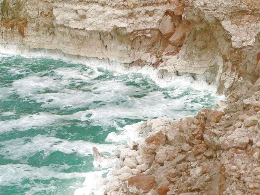 From Amman: 5-Hour Dead Sea Experience with Lunch & Return - From Amman to the lowest point on earth, what the 5-hour schedule really feels like