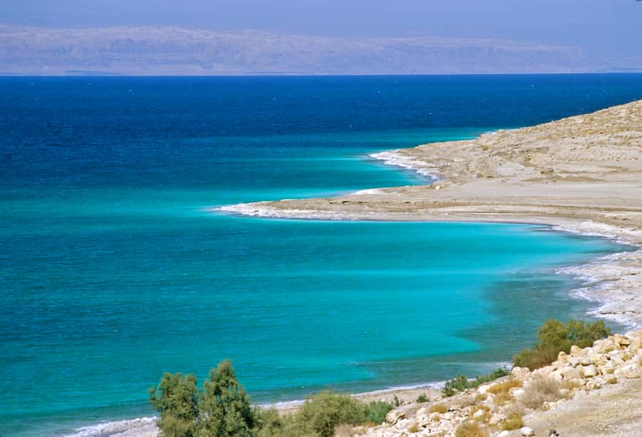 From Amman: 5-Hour Dead Sea Experience with Lunch & Return - Who this tour suits best, and who should reconsider