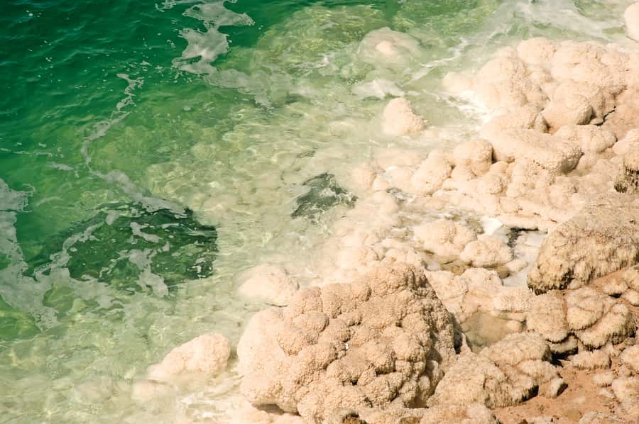 From Amman: 5-Hour Dead Sea Experience with Lunch & Return - Should you book this Dead Sea tour from Amman?