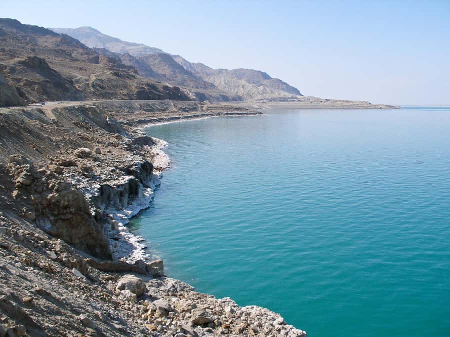 From Amman: Dead Sea 5-Star Resort Day Trip with Lunch - Floating in the Dead Sea, then switching into resort mode