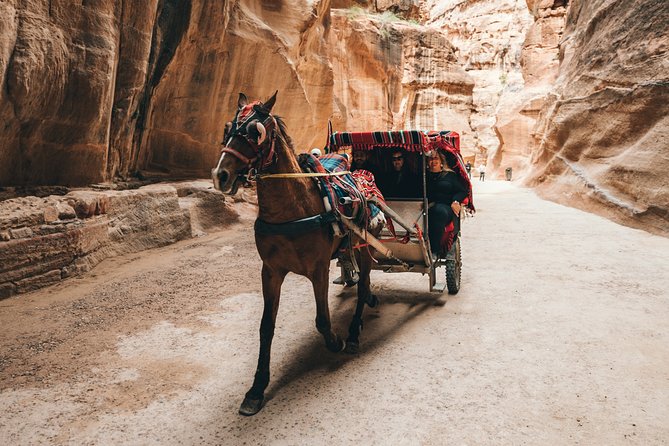 From Amman | Dead sea and Petra in one day | Admission Fees Included - How the full day flows: timing, transport, and drop-off