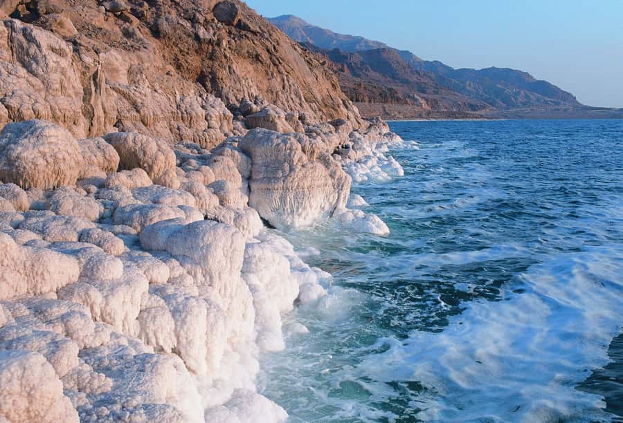 From Amman: Dead Sea and Wadi Mujib Trail Full-Day Tour - Dead Sea time at the resort: lunch, swimming, and mud